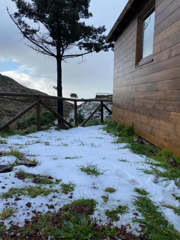 Tente de luxe Mountain Eco Shelter 2 Funchal (Madeira)